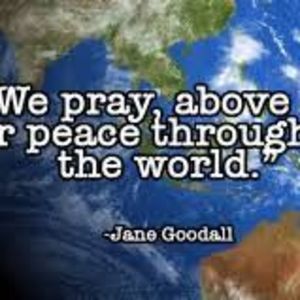 Meet your Posher, Millicent